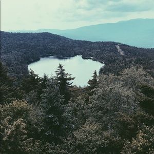 Meet your Posher, Sophia